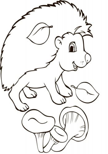 Розмальовки у сумочці. Звірятка, фото - 2