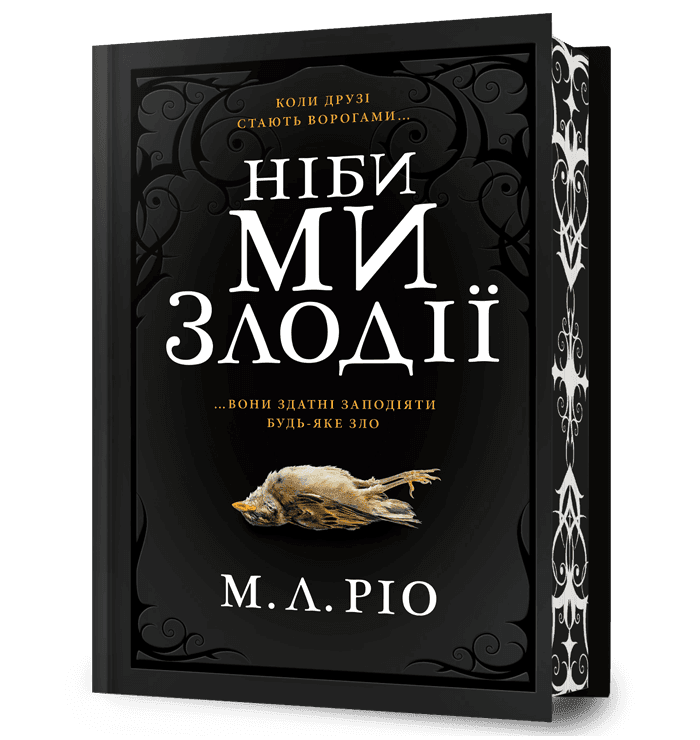 Ніби ми злодії Limited edition, фото - 1