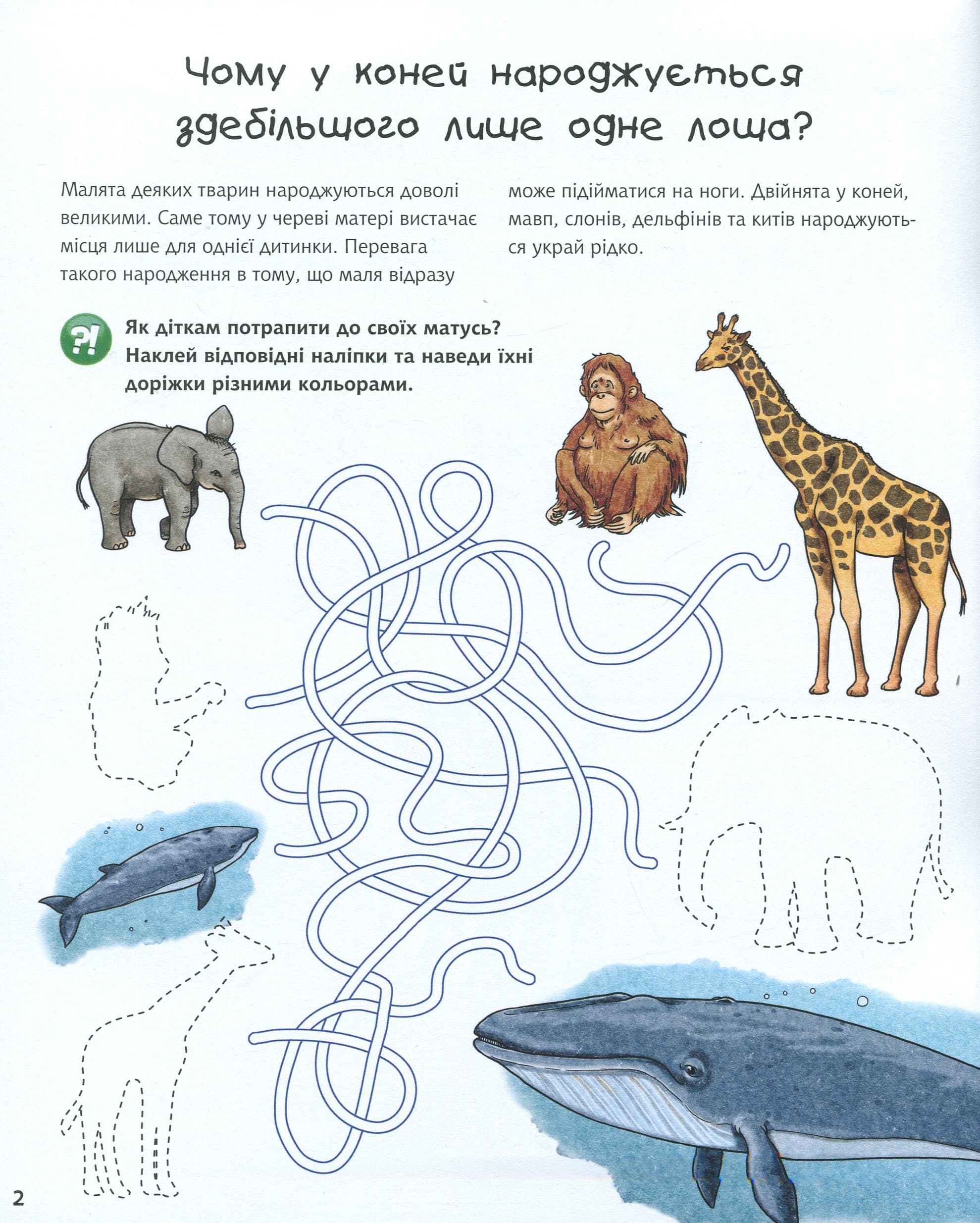 Чому? Чого? Навіщо? Малята тварин : Інтерактивна книжка для дітей віком від 4 до 7 років, фото - 2