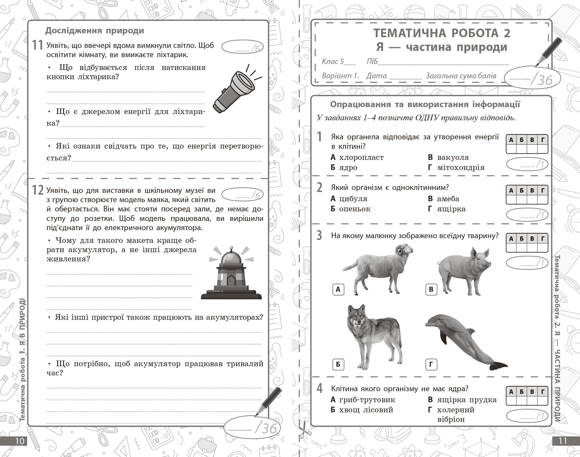 НУШ Довкілля. 5 клас. Поточне та підсумкове оцінювання + діагностувальні роботи, фото - 3