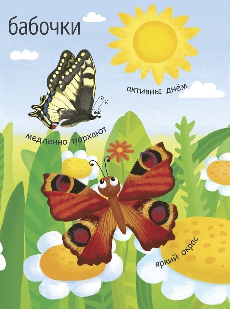 Как рождается бабочка?, фото - 3