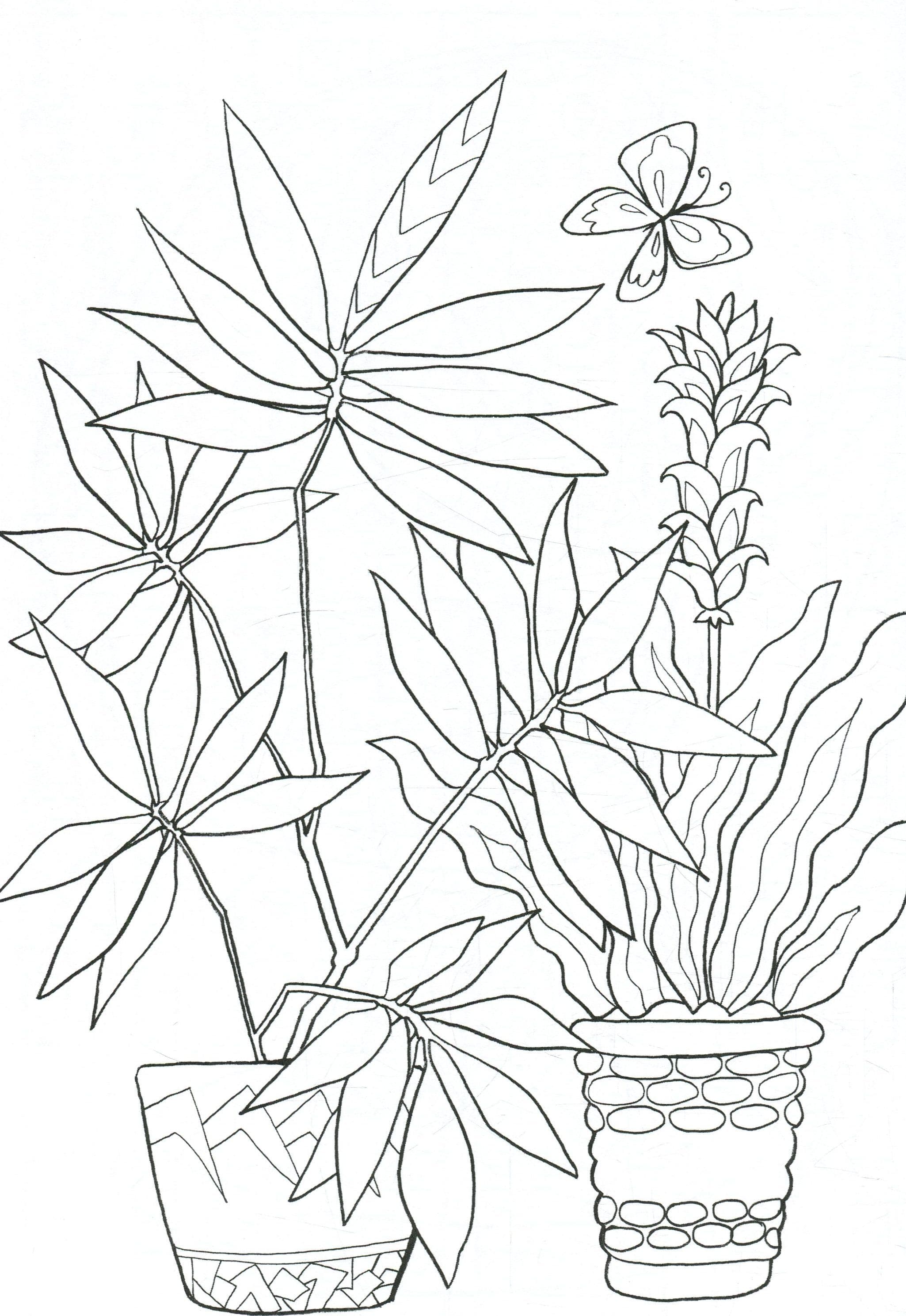 Затишна домівка, фото - 3