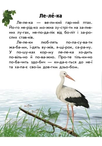 Тваринний світ лугів і степів, фото - 3