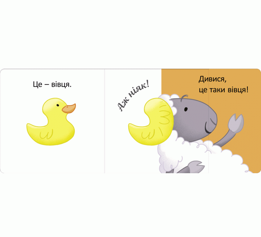 Це — пелікан, фото - 3