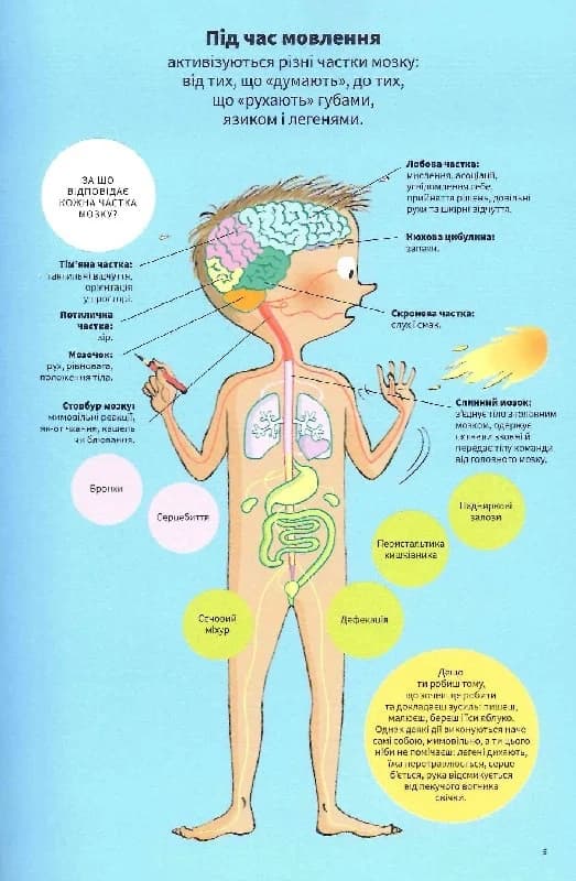 Тіло людини зсередини, фото - 3