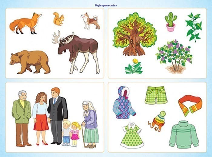 У світі слів, фото - 2