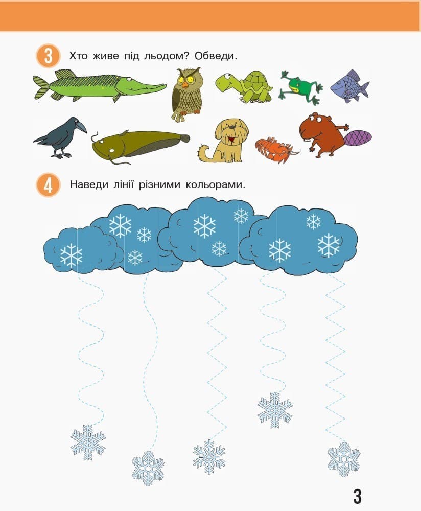 Я досліджую світ. 1 клас. Робочий зошит: У 2 частинах. Частина 2 (Бібік), фото - 2