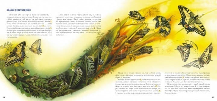 Годинник природи, фото - 3