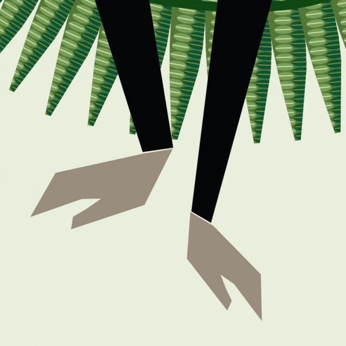 Команда джунглів, фото - 3