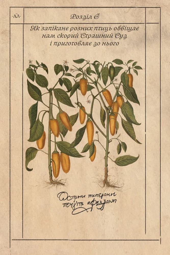 Алхімічний діарій, фото - 3