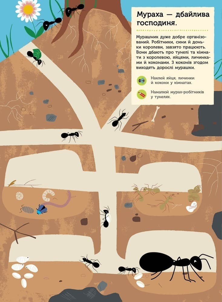 Комахи саду, фото - 3