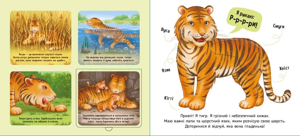 Познайомся і погладь. Тварини світу, фото - 3