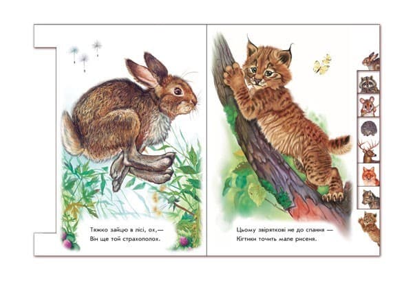 У лісі, фото - 3