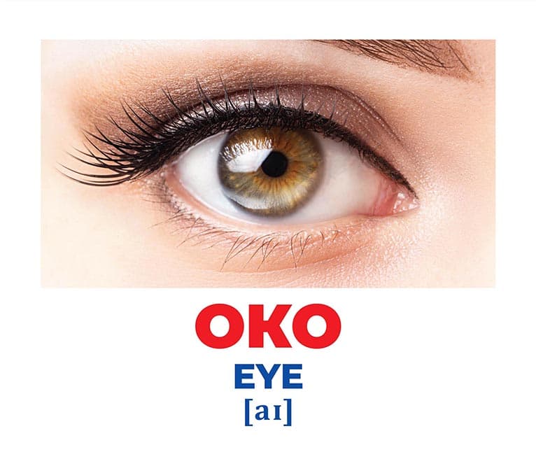 Геній з пелюшок.Будова тіла, фото - 2