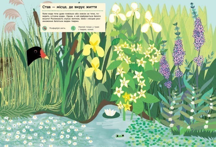 Річка і ставок, фото - 2