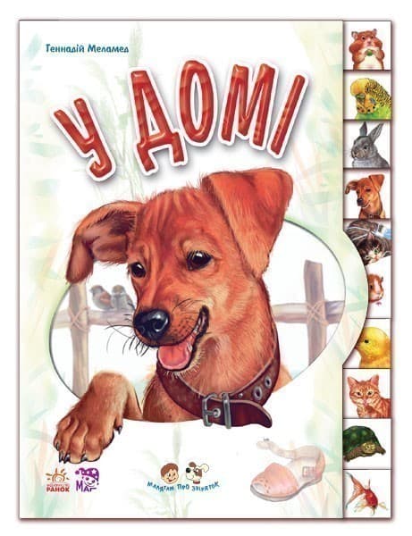 У домі, фото - 1