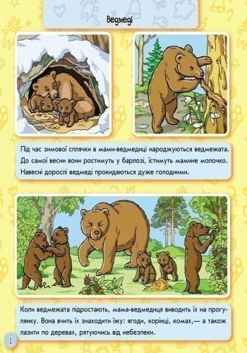 Тварини лісу, фото - 3