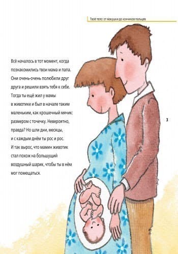 Твоё тело: от макушки до кончиков пальцев, фото - 3