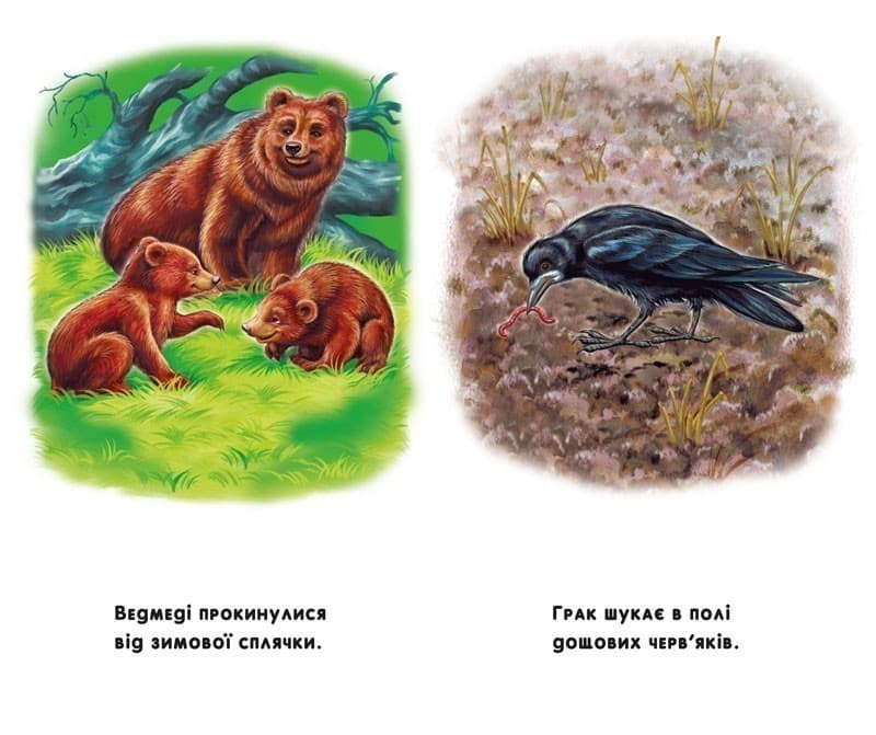 Пори року, фото - 3