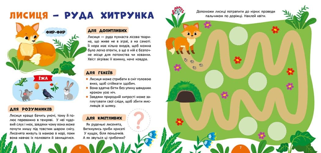 Моя перша енциклопедія. Лісові мешканці, фото - 2