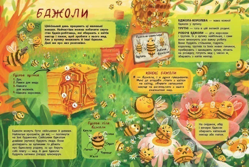 Таємне життя комах, фото - 2