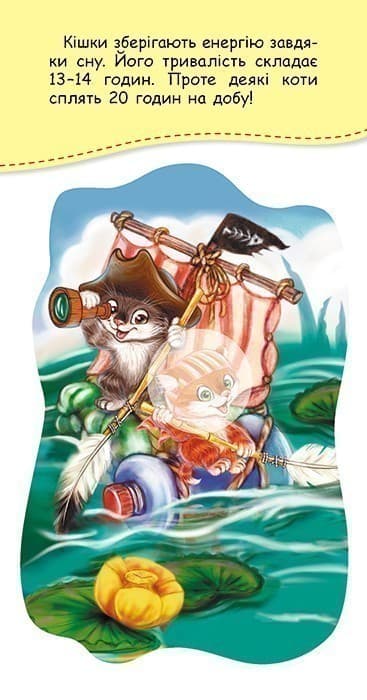 Книжка у кишеню з наліпками. Кошенята-витівники, фото - 2