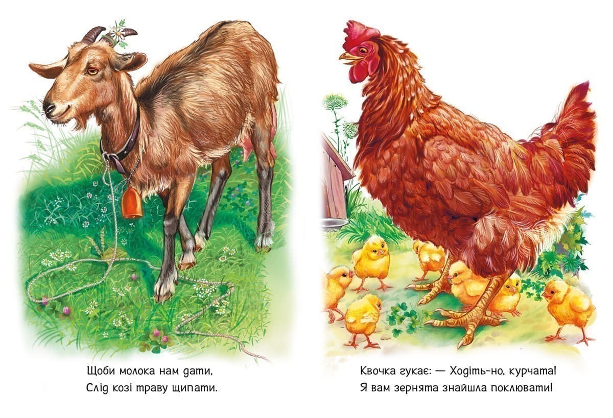 Поруч з нами (Малятам про звіряток), фото - 3