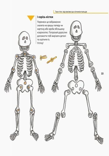 Твоє тіло: від маківки до кінчиків пальців, фото - 2