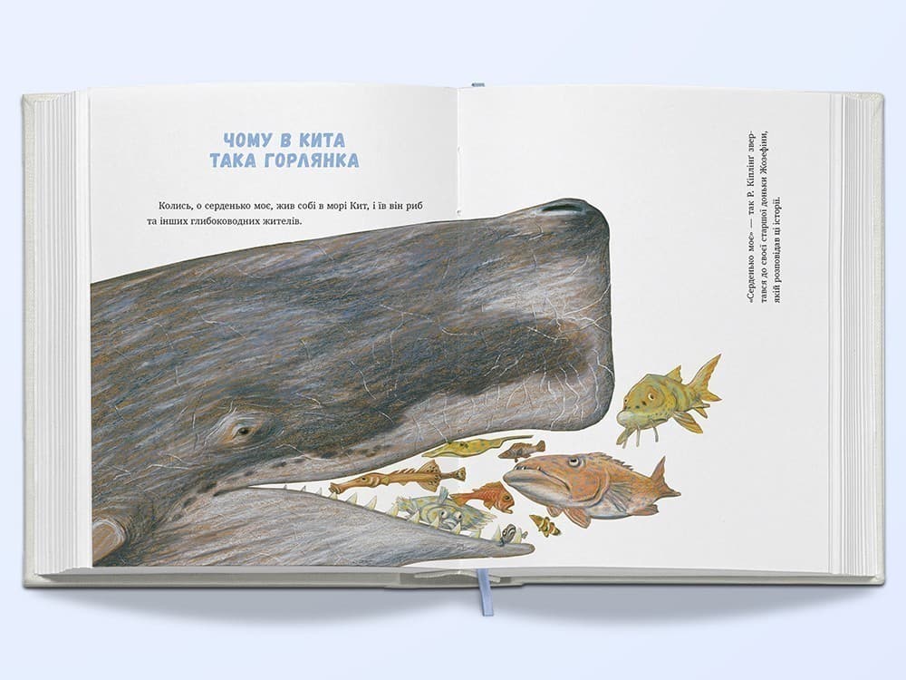 Метелик, який тупав ногою, фото - 2