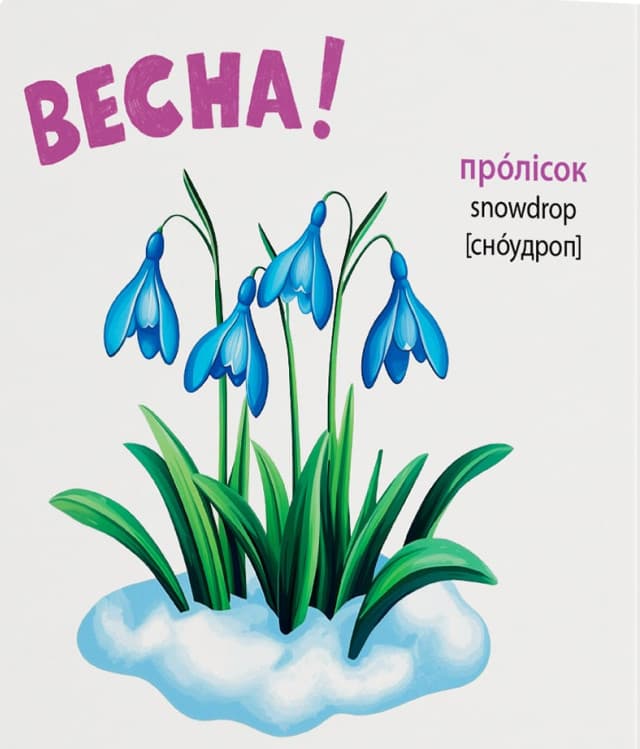 Розглядайка-розвивайка. Пори року, фото - 3