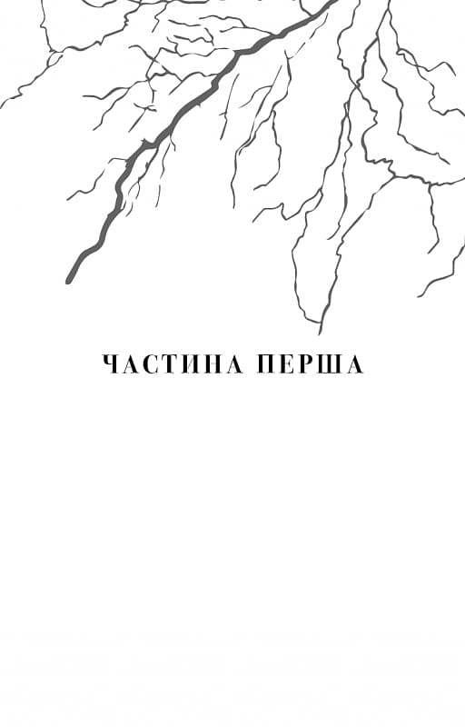 Майкл Вей. Книга 1. В'язень Камери № 25, фото - 2