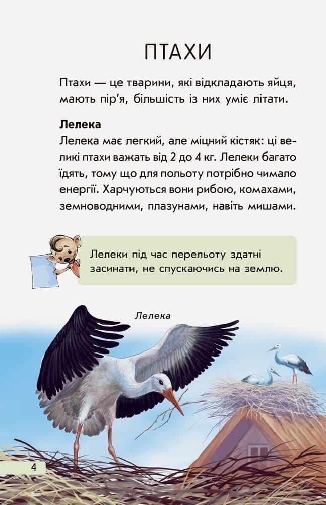 Європейські тварини, фото - 2