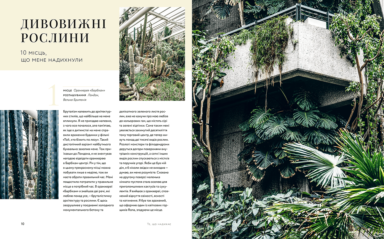 Дикі інтер’єри. Красиві рослини в чудових просторах, фото - 3