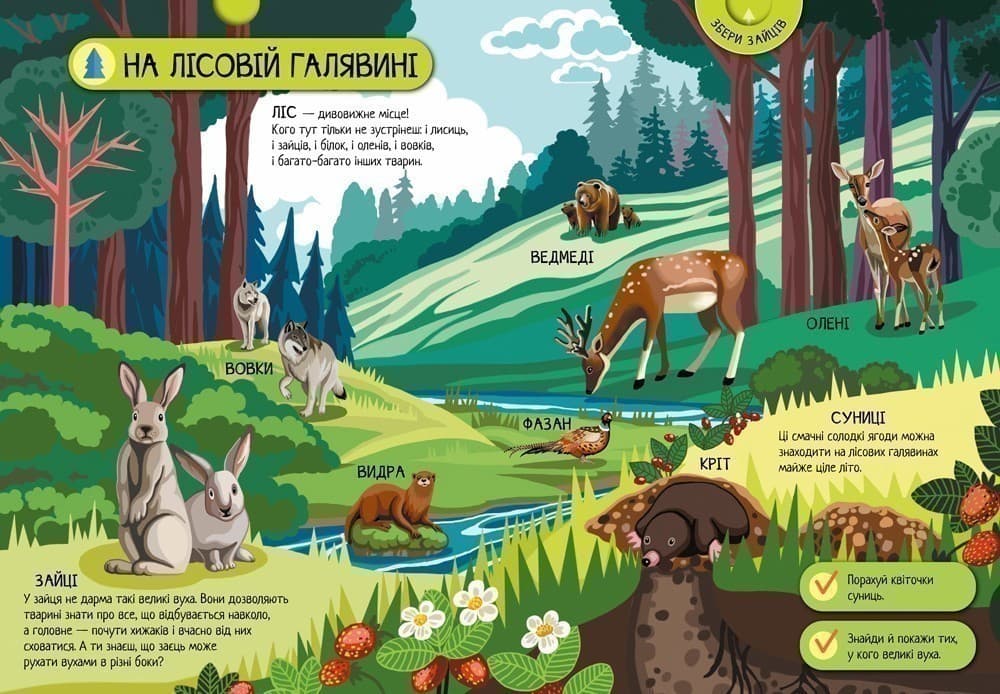 Велика ігрова енциклопедія. Тварини лісу, фото - 2