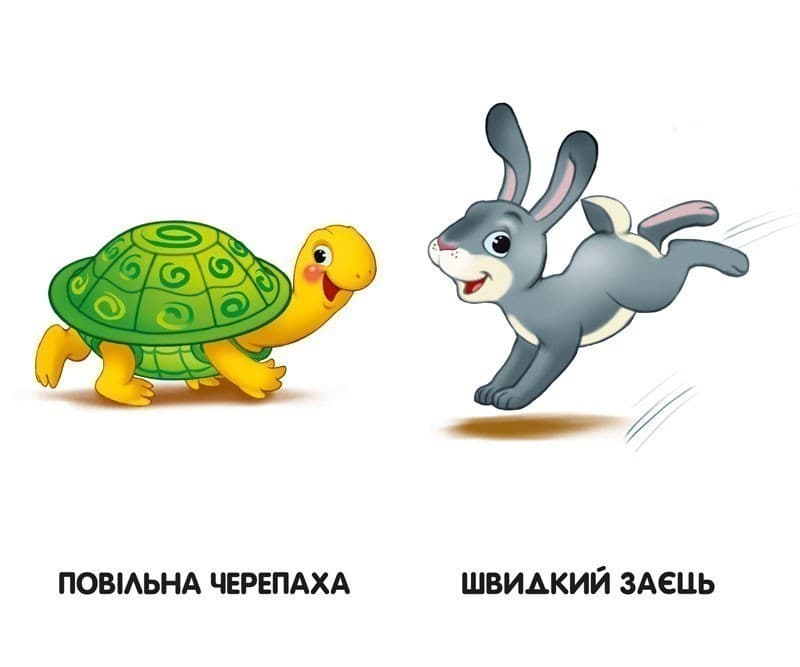 Отакі різні, фото - 2