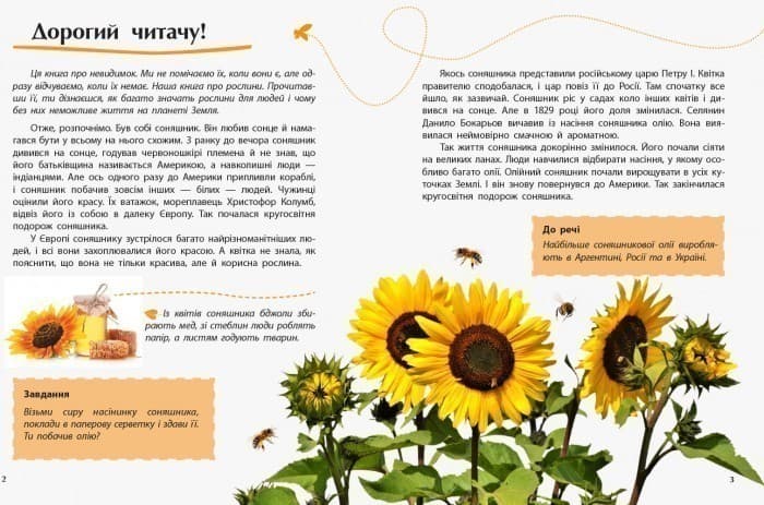 Рослини. Відкриваємо світ, фото - 3