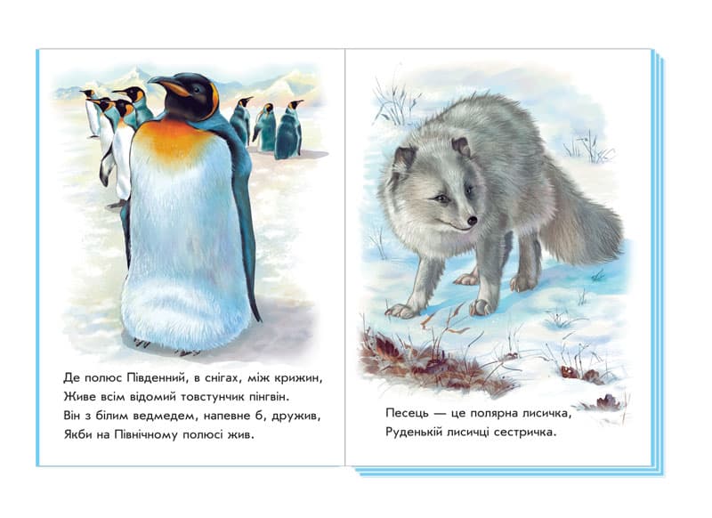 Улюблений зоопарк, фото - 2