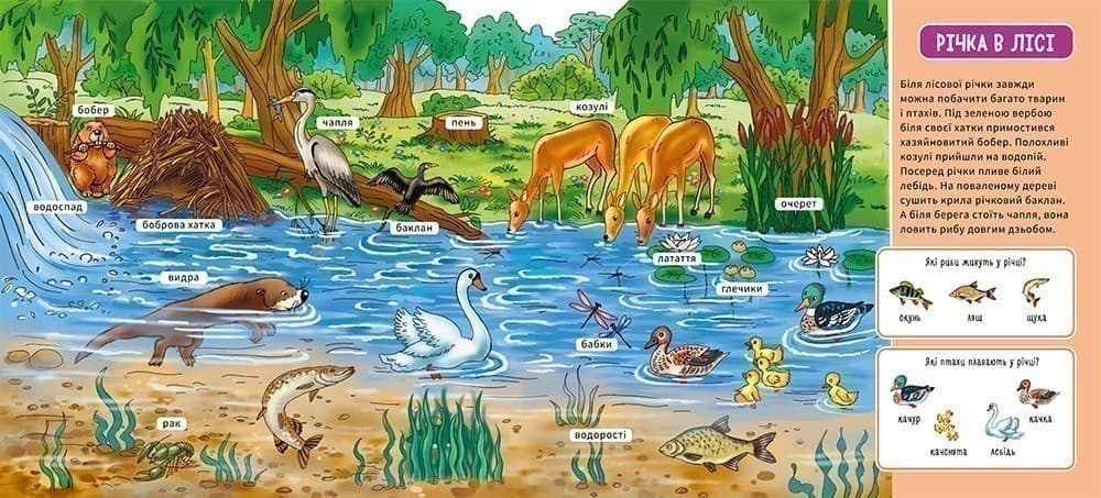 У лісі, фото - 2