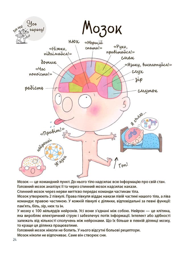 Як влаштоване моє тіло : книжка для дітей (і дорослих!). 4+, фото - 2