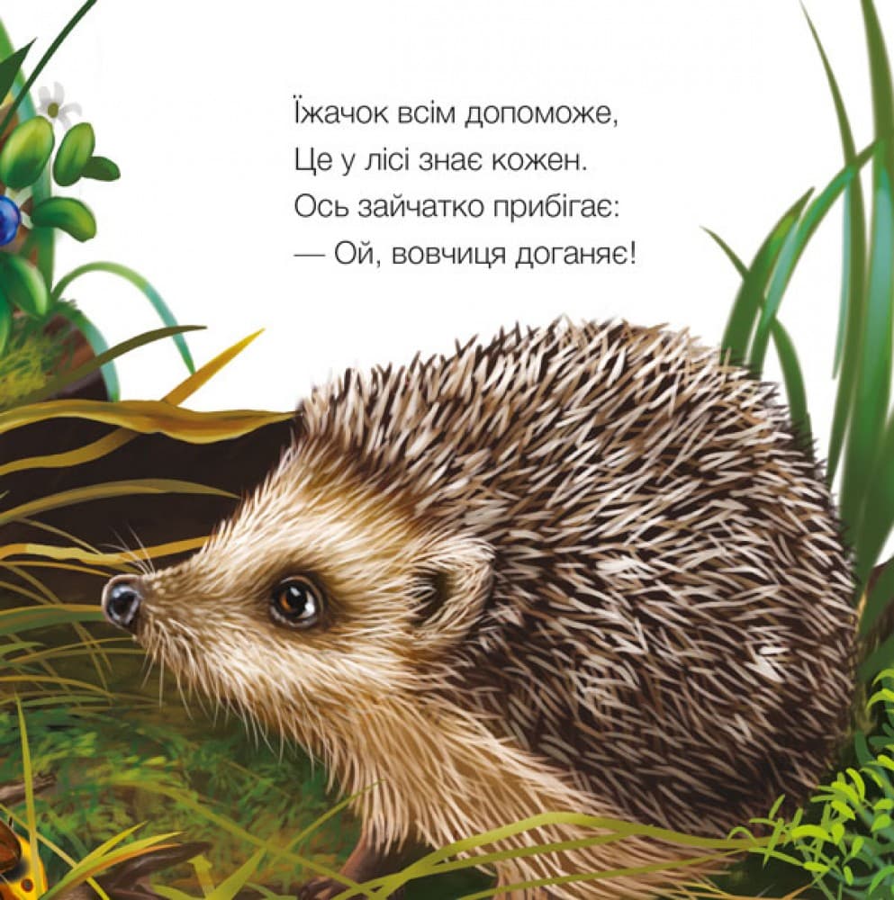 Їжачок, фото - 2