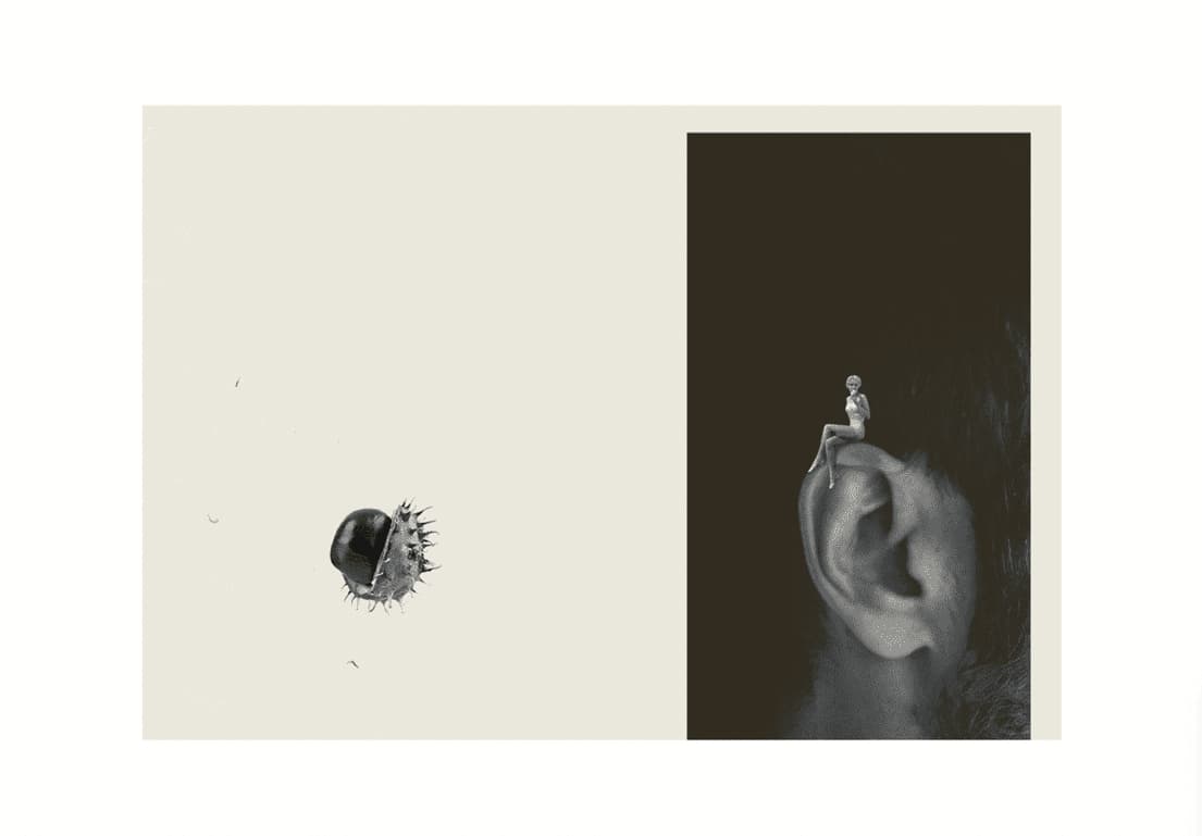 Лексикон таємних знань, фото - 3