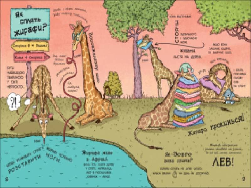 Як тварини сплять, фото - 2