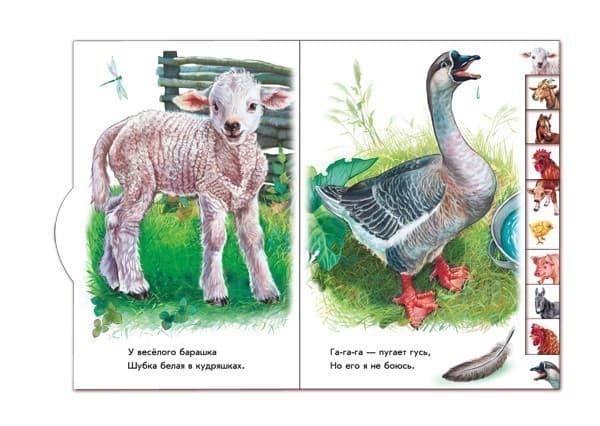 Во дворе, фото - 2