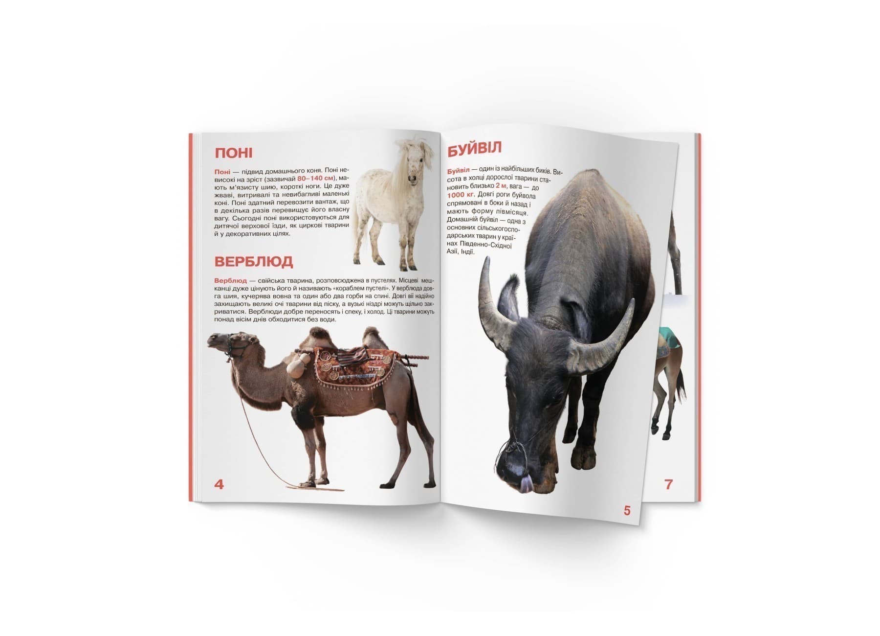 Велика книжка. Свійські тварини, фото - 2