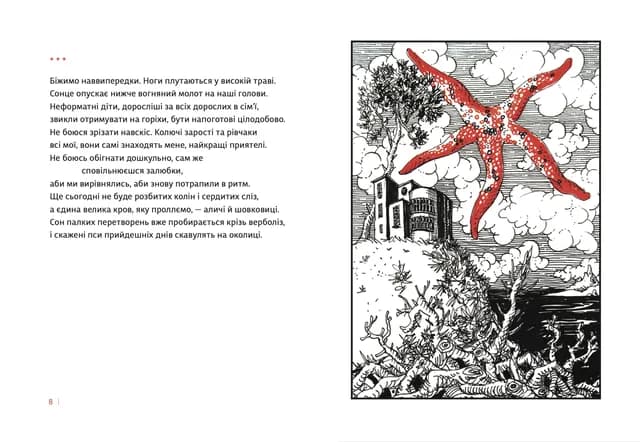 Каміння і цвяхи, фото - 3