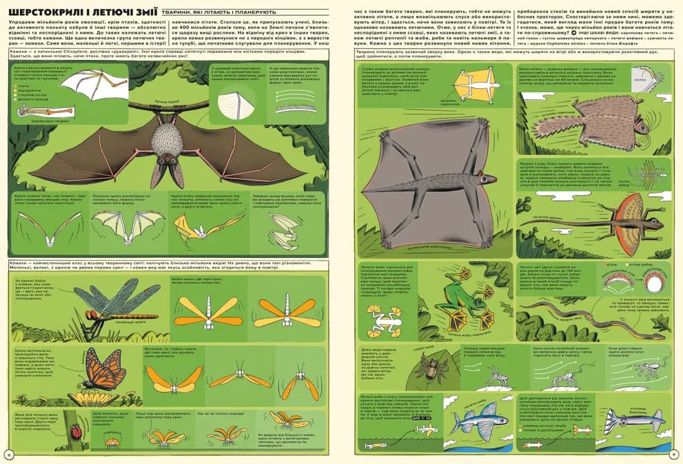 Але високо! Мальована історія авіації, фото - 2