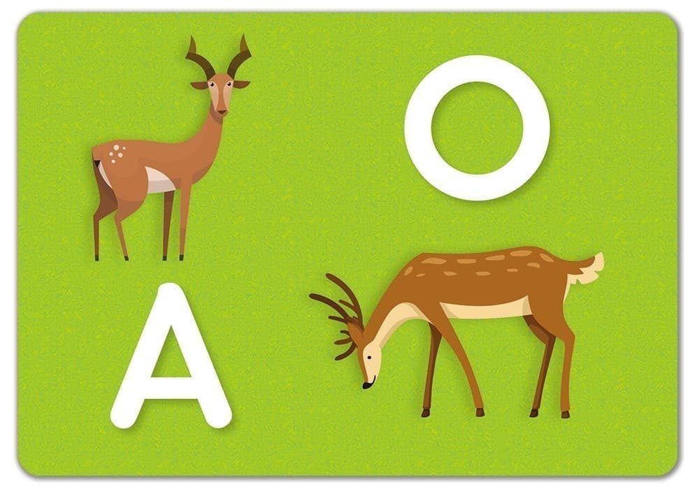 Школа Кенгуру. Ранній розвиток. Картки Пиши-стирай. Пишемо букви, фото - 2