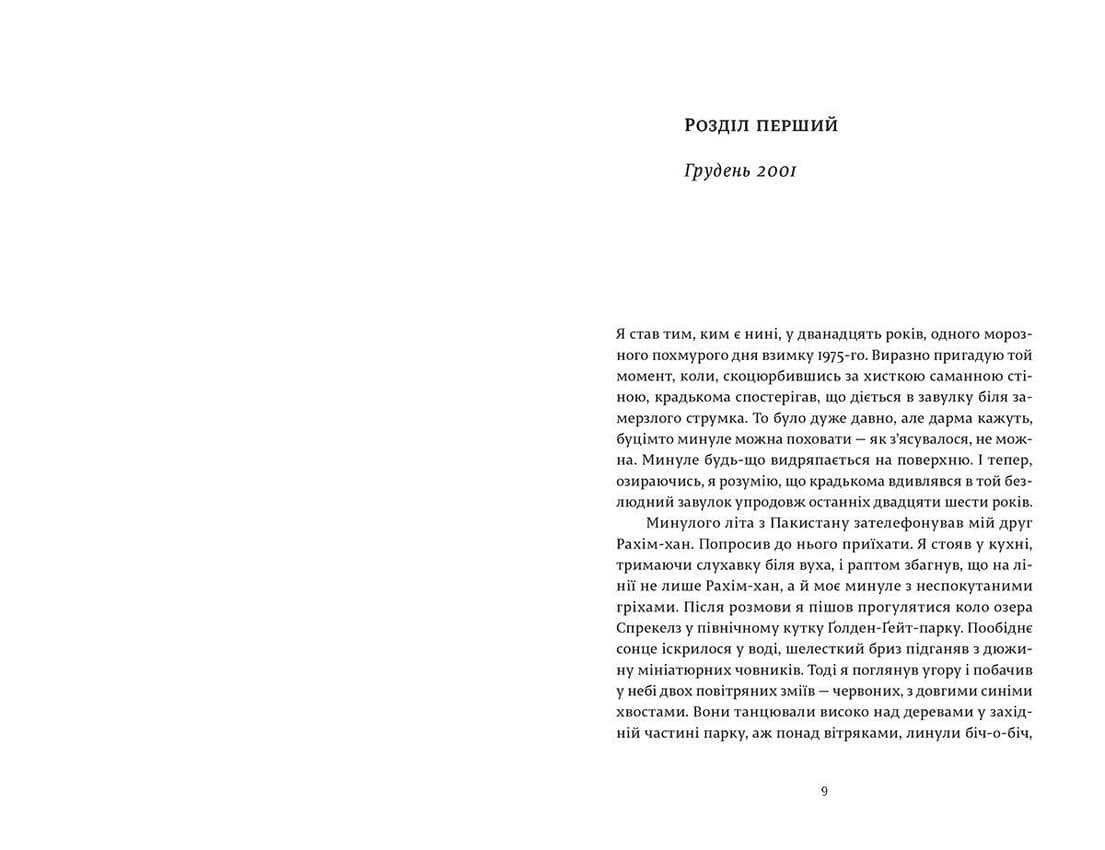 Ловець повітряних зміїв, фото - 2