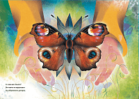 Метелики перетворюються, фото - 2