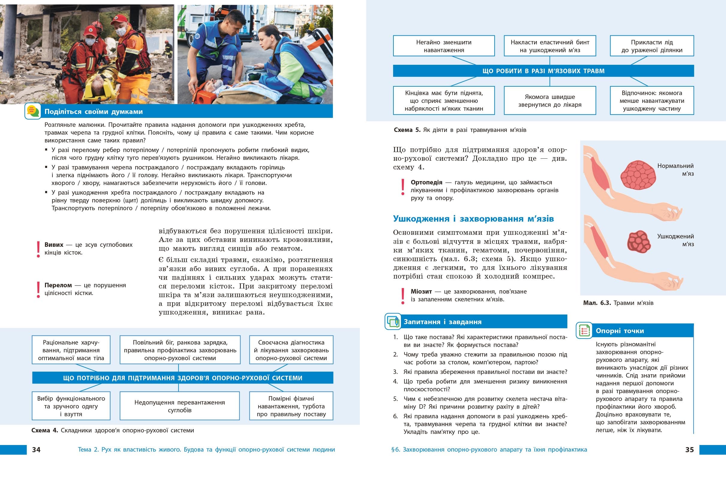 НУШ Біологія. 8 клас. Підручник, фото - 2